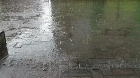 Heavy Rain Dripping into Rustic Water Barrel - Nature ASMR Soundscape Stock Footage 306292563