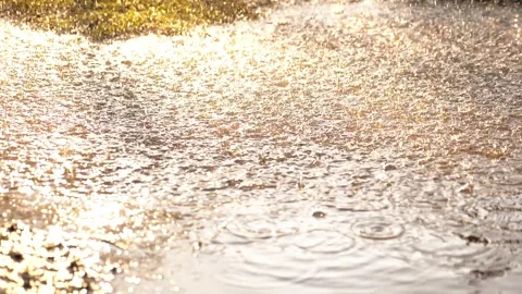 Heavy rain dripping from sky into puddle sun rays bright light. summer downpour Stock Footage 242569572