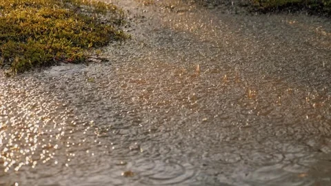Heavy rain dripping from sky into puddle sun rays bright light. summer downpour Stock Footage 242698381