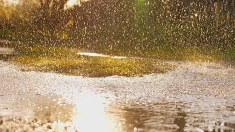 Heavy rain dripping from sky into puddle sun rays bright light. summer downpour Stock Footage 243129237