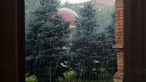 Heavy rain dripping trees. View through the doorway in a brick building. Stock Footage 113377907