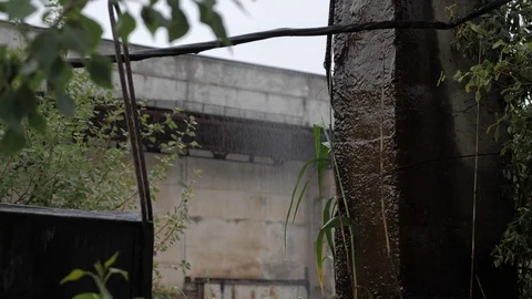 Heavy rain drops fall on wet concrete and green grass stem Stock Footage 114962666
