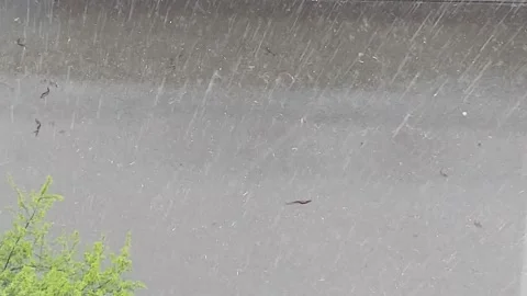Heavy Rain Drops Falling Into The City Street Stock Footage 154900349