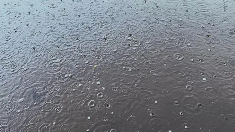 Heavy rain drops falling on a lake water surface creating circles and bubbles Stock Footage 342809432