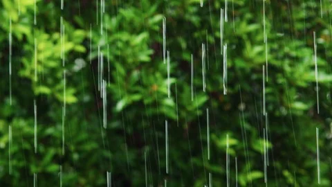 Heavy Rain Drops With Green Trees Background Stock-Footage 107197941