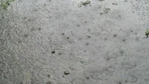Heavy Rain Drops On The Ground Stock Footage 217374052