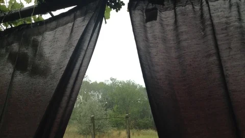 Heavy Rain drops pours through the curtains and trees in the village Stock Footage 106364150