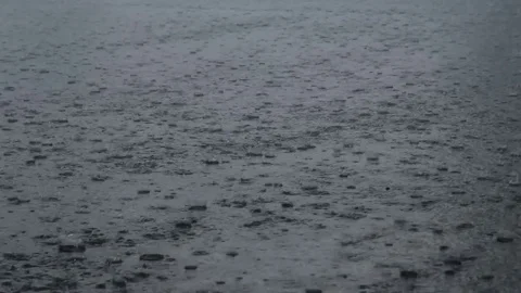 Heavy rain drops on the road Stock Footage 78453674