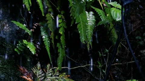 Heavy rain drops splashing on the ground during a summer nature background Stock Footage 330790190