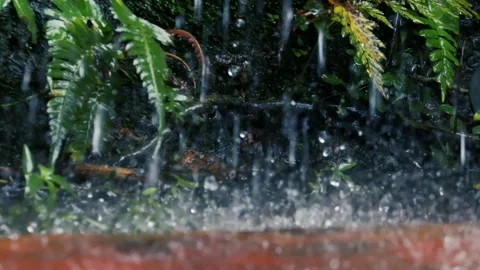 Heavy rain drops splashing on the ground during a summer nature background Stock Footage 330793314