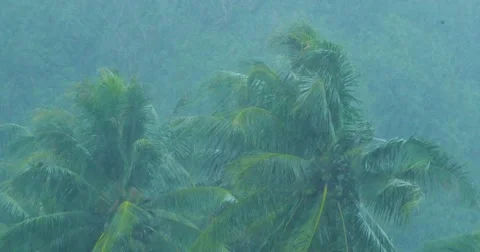 Heavy rain during monsoon season in Asia, stormy weather conditions Stock Footage