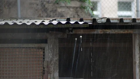 Heavy rain during thunderstorm hits roof of old storage room. Stock Footage 111068789