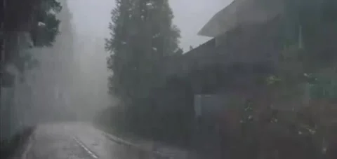 Heavy rain on the edge of the road Stock Footage 272161814