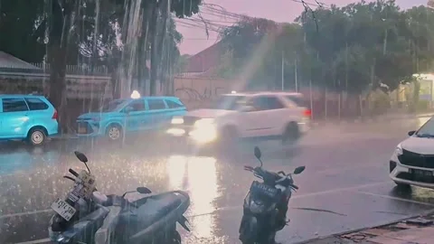 Heavy rain in evening on the street Stock Footage 290189729