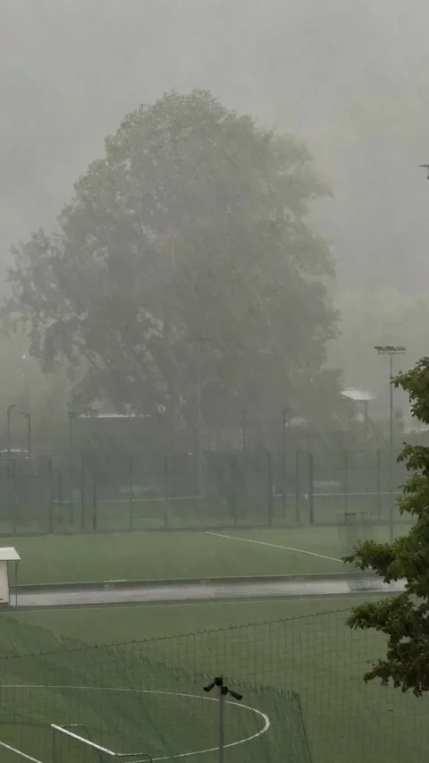 Heavy Rain Falling Across Empty Sports Field and Tall Trees Stock Footage 341397522