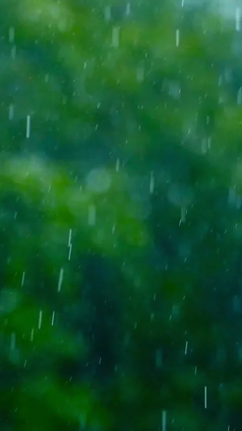 Heavy rain falling against a blurry green forest background Video stock 331933062