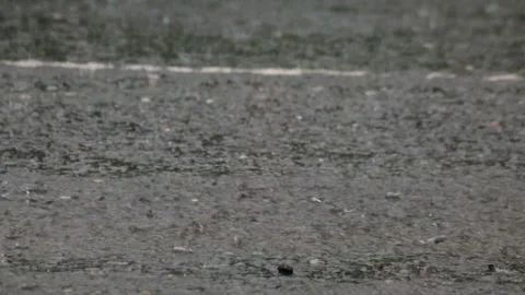 Heavy rain falling on asphalt road Stock Footage 319888074
