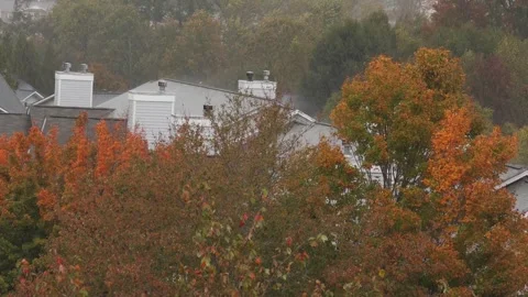 Heavy Rain Falling in Autumn Day. Rainy Autumn Landscape in Park, Bad Windy.. Video stock 343578917