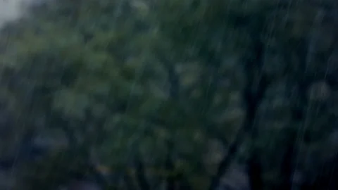 Heavy Rain Falling with Blurred Trees Background Close Up Weather Scene Stock Footage 157604785