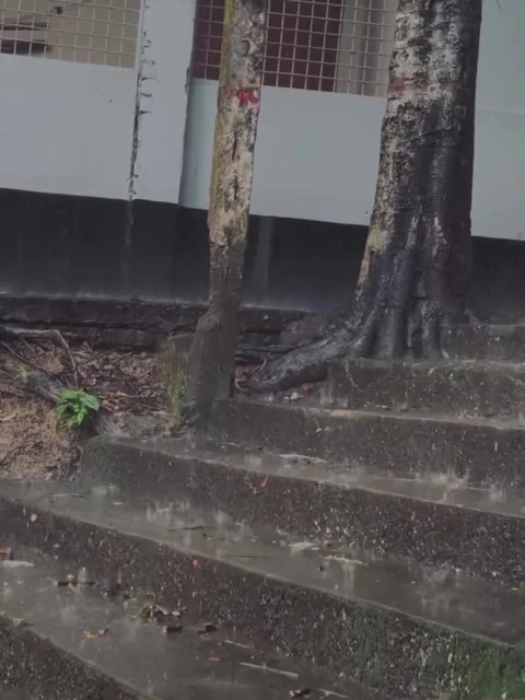 Heavy Rain Falling on Concrete Outdoor Steps Video stock 341320501