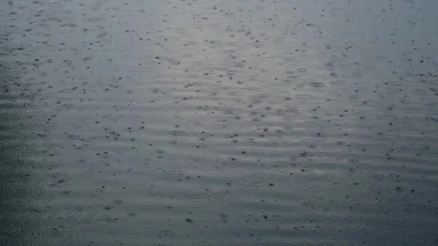 Heavy rain falling on dark water surface creating ripples and circles Vídeos de archivo 342328478