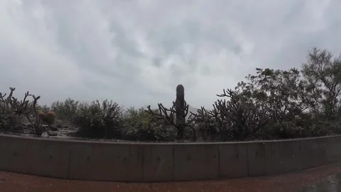 Heavy Rain Falling At A Desert Trailhead In Scottsdale, AZ Stock Footage 320019060