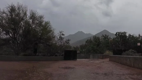 Heavy Rain Falling At A Desert Trailhead In Scottsdale, AZ Stock Footage 320019094