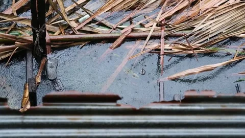 Heavy Rain falling in the dirty lake with floating trash in water for rainy day Stock Footage 304263130