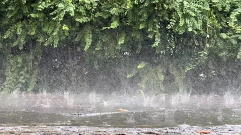 Heavy rain falling down on a city sidewalk in spring Stock Footage 277340100