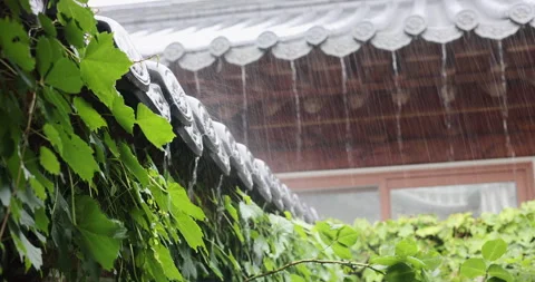 Heavy rain falling during monsoon season. Shot in South Korea Stock Footage 286970355