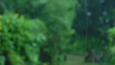 Heavy rain falling during a storm in the tropical jungle with a blurred green Stock Footage 345072919