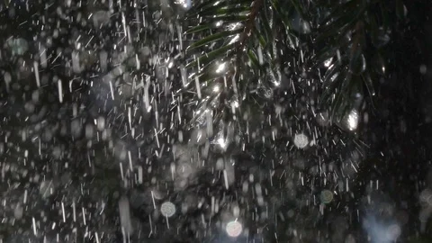 Heavy rain falling on fir branches with glittering icicles in slow motion. Vídeos de archivo 88072964