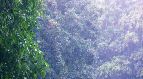 Heavy rain falling Video stock 57327475
