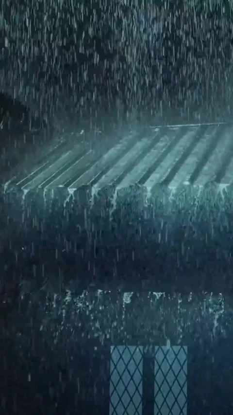 Heavy Rain Falling Stock Footage 326371331