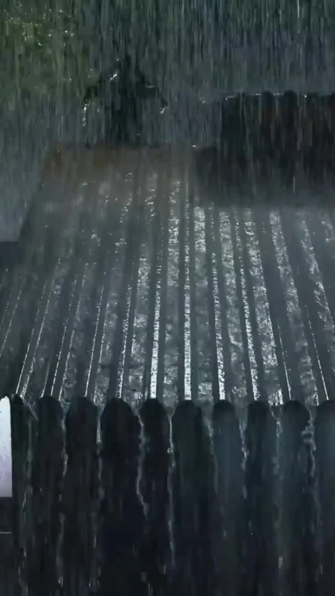 Heavy Rain Falling 스톡 동영상 326371463