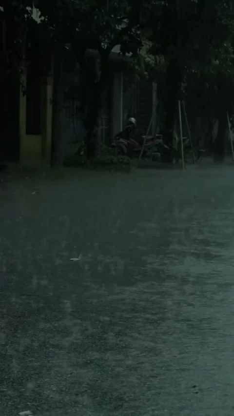 Heavy Rain Falling Stock Footage 326371705