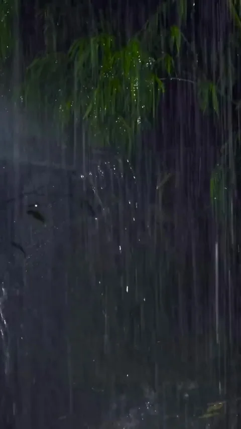 Heavy Rain Falling Stock Footage 326371950