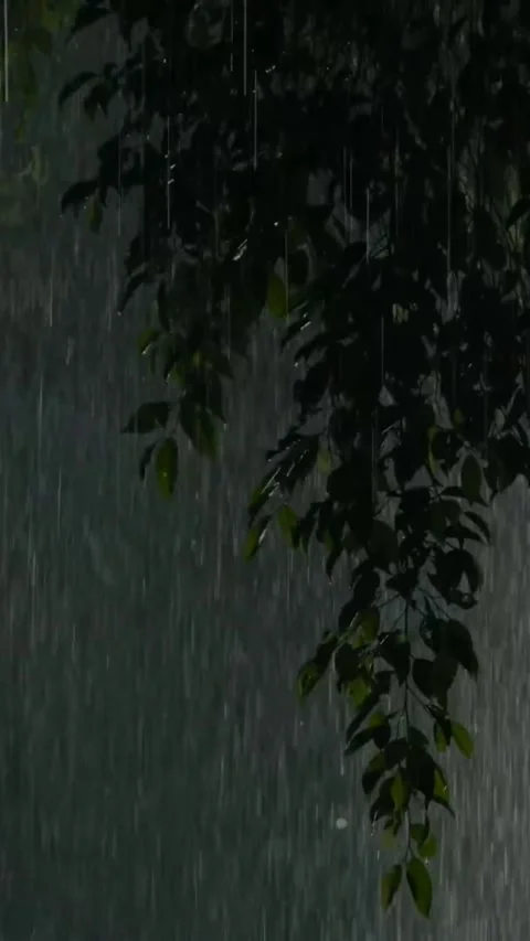 Heavy Rain Falling Stock Footage 326371991