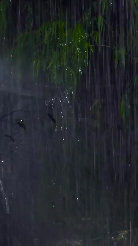 Heavy Rain Falling Video stock 326372136