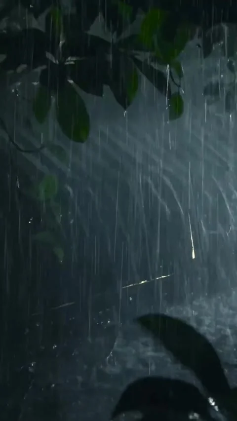 Heavy Rain Falling Stock Footage 326372386