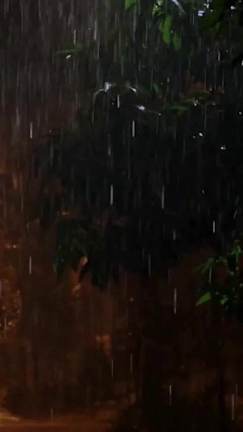 Heavy Rain Falling Video stock 326372514