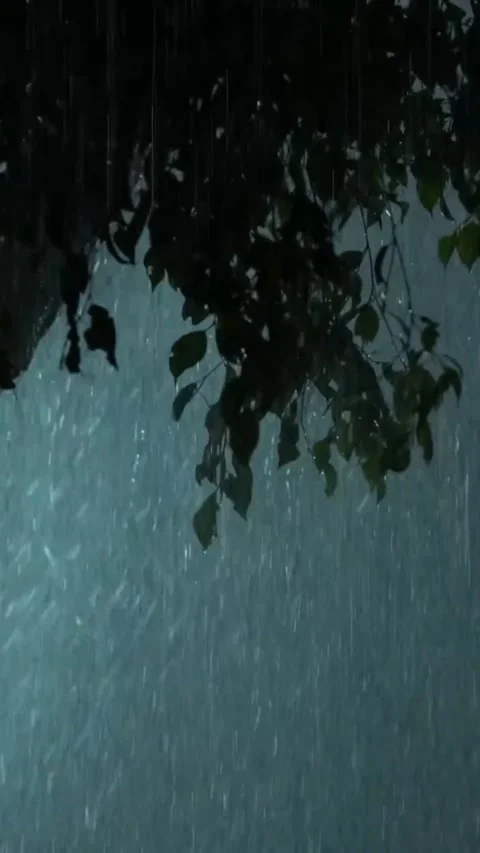 Heavy Rain Falling Stock Footage 326373074