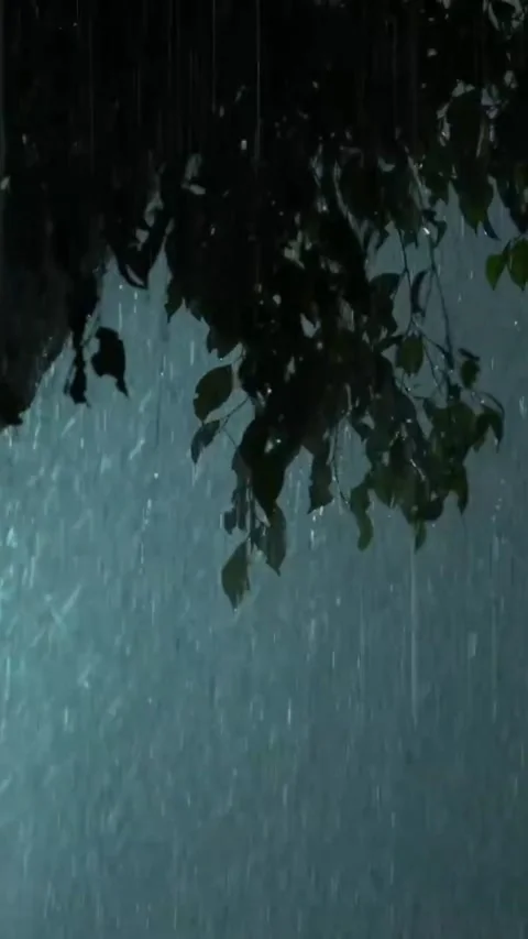 Heavy Rain Falling Stock Footage 326373096