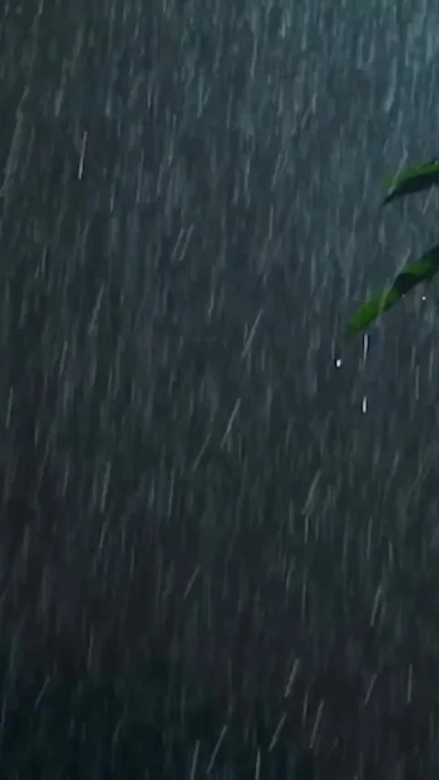 Heavy Rain Falling Stock Footage 326374201