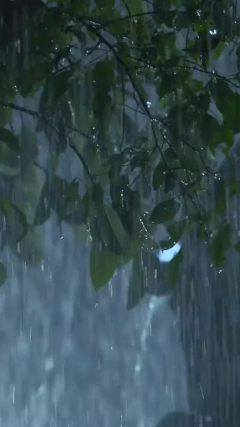 Heavy Rain Falling Stock-Footage 326375045