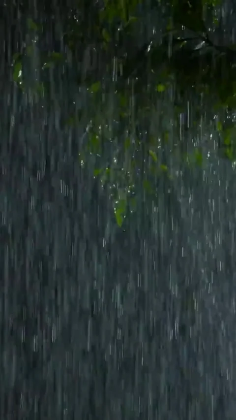 Heavy Rain Falling Stock Footage 326376351