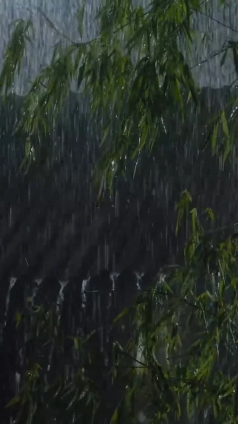 Heavy Rain Falling Stock Footage 326376907