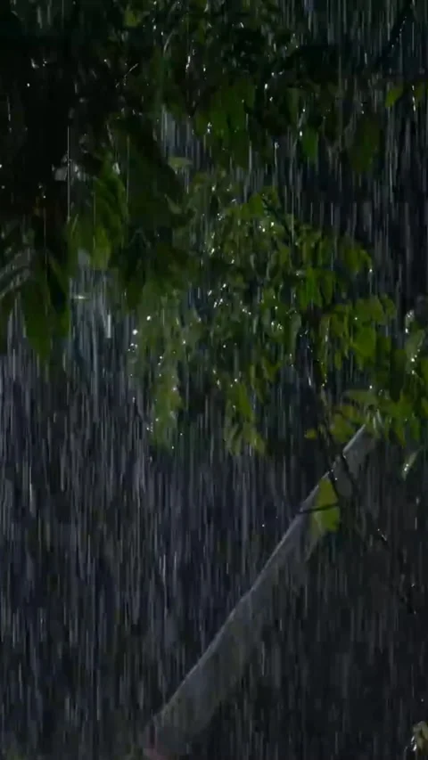 Heavy Rain Falling Stock Footage 326378533