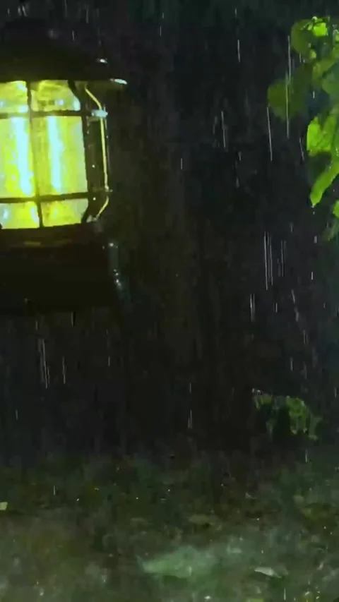 Heavy Rain Falling Stock-Footage 326379159