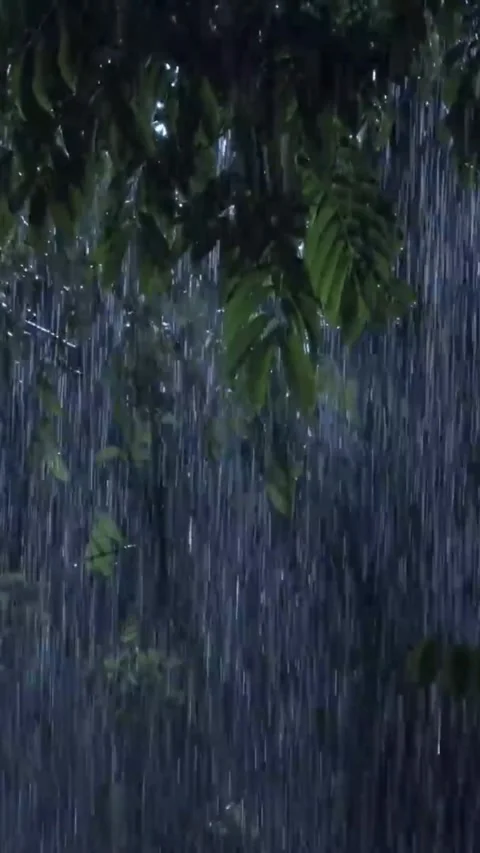 Heavy Rain Falling Video stock 326385279